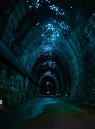 Glow Worm Tunnel Walk, Burringbar 