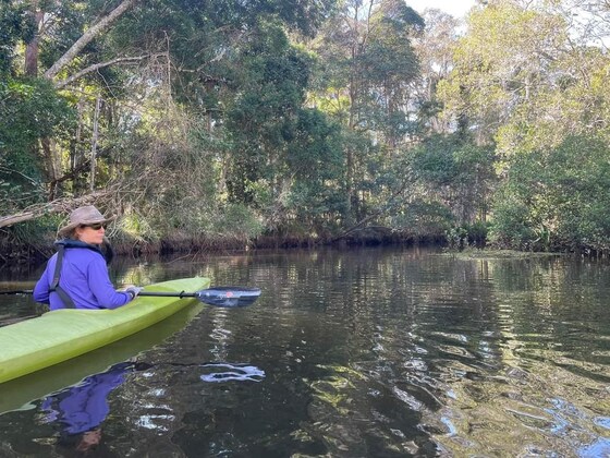 Postponed: Moonlight Paddle to Brunswick Heads