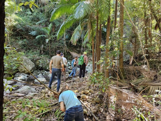 Rock Hopping Sat 7