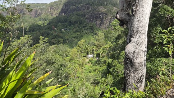Koonyum Lookouts and Waterfalls- Sun 16 Aug