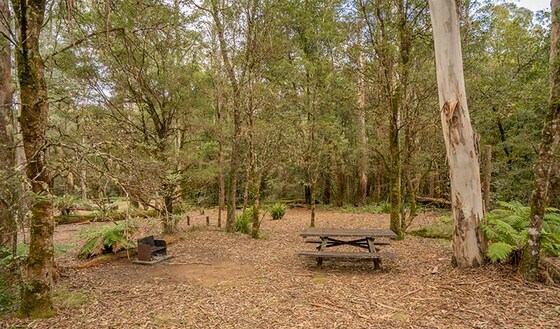 Base Camping @ New England National Park