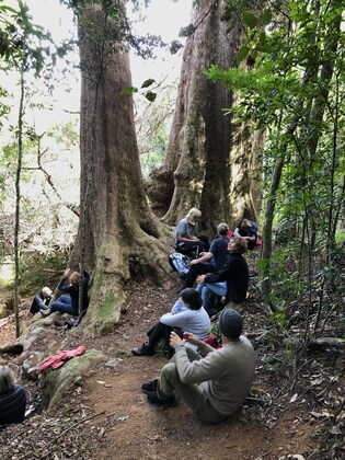 Sat 21 June. Special Event - Forest bathing walk to 1000 year old tree and a literary salon. 