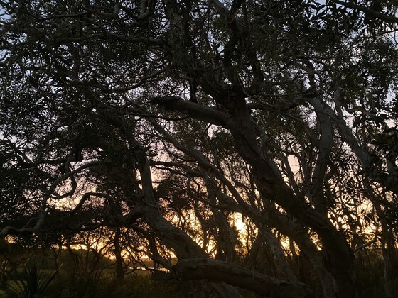 Winter Solstice walk by moonlight with David