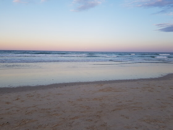 Optus Trail, South Golden Beach. Easter Sunday April 20th 9am.