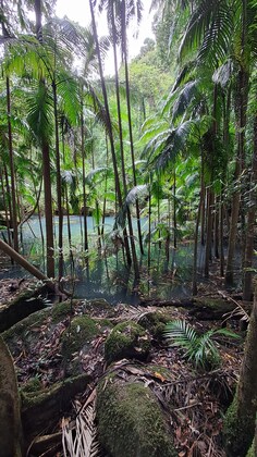 Blue Lagoon Sun Nov 2