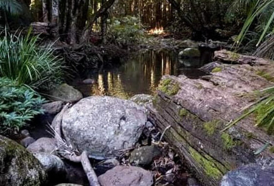 Wilsons Creek Rockhop-Swim Dec 2