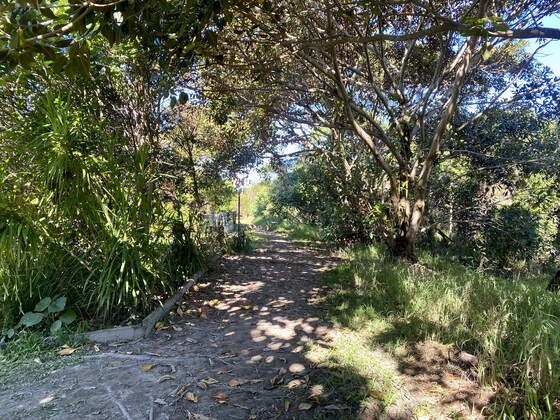 Nature Writing Walk