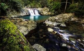 Cougal Cascades Sat Mar 8