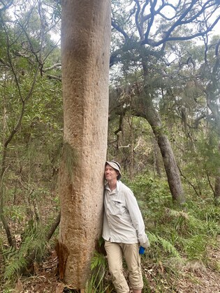 Forest Bathing with David Sunday 10 December