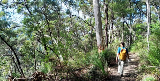 Quandong Falls- Thur Mar 26