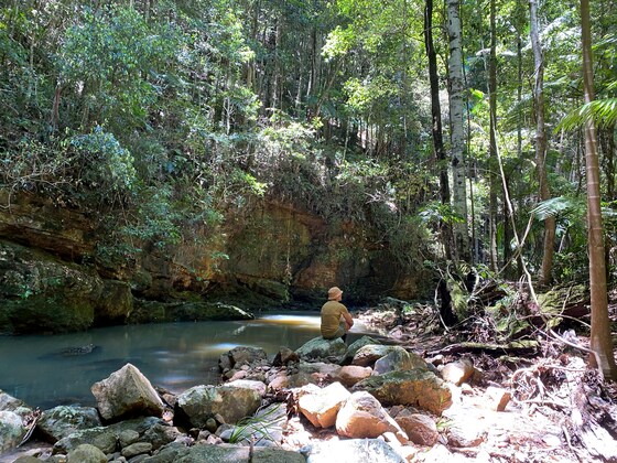 Forest bathing hike Unicorn Falls