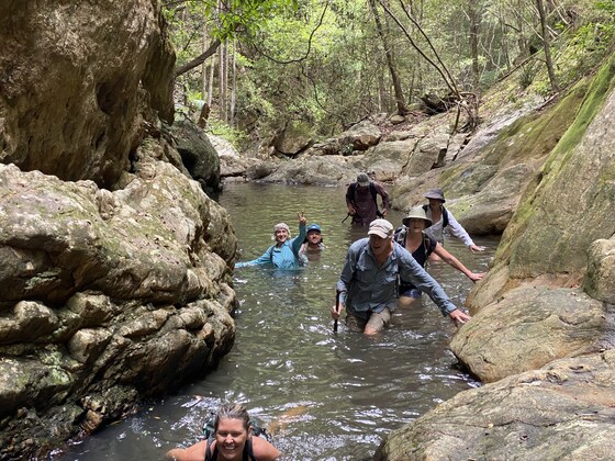 Unicorn Falls Creek Forest Bathing and Getting Wet Walk