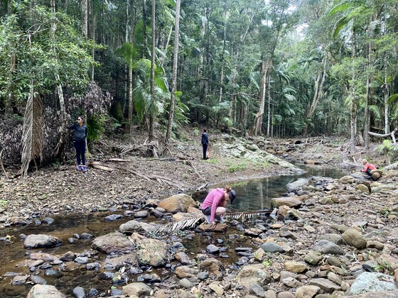 Forest Bathing and Movement Walk