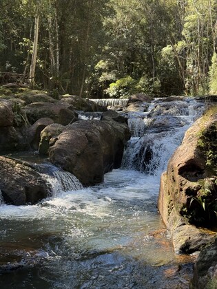 Forest bathing, movement and meditation walk, Sun 14 September