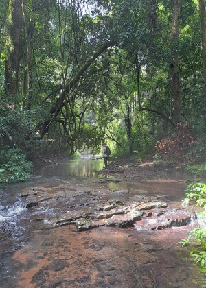 Gidguum Gulganyi Day 1, Sat June 7