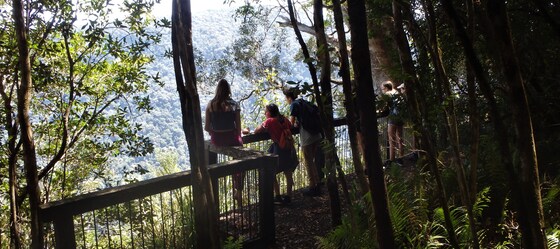 Bar Mtn Loop- Border Ranges, Thur 26 Feb