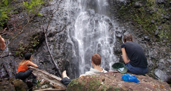 Postman's Tree via Lyrebird Falls Mar 15-16