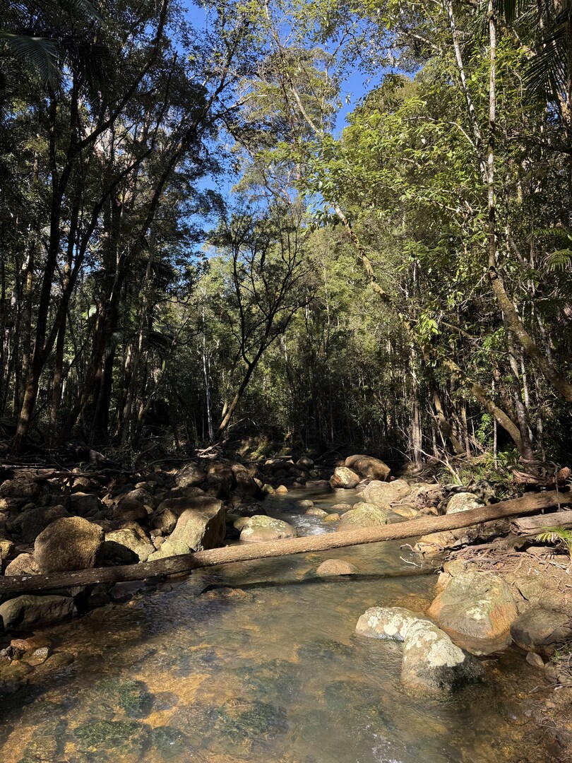 Byan Yangala and Boggy Creek Loops - a Double Delight. Saturday 14 November 2026