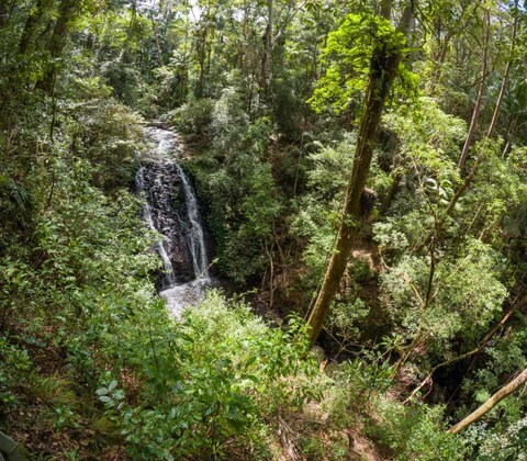 Sheepstation Creek Camp & nearby walks 20-22 November