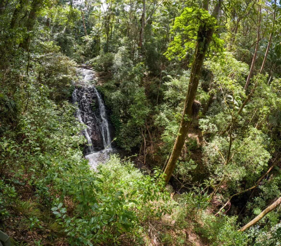 Sheepstation Creek Camp & nearby walks 20-22 November