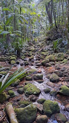 Byan Yangala Trail Sat 24 Jan