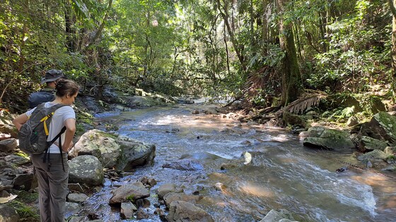 Wanganui Gorge- Swim Hole, Sun 30 Nov