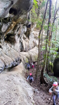 Koonyum Caves & Upper Wilsons Lookout- Sunday 18 May