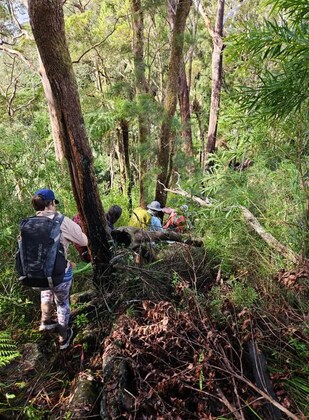 Overnight Hike, Nightcap NP, 6-7 Sep FULLY BOOKED