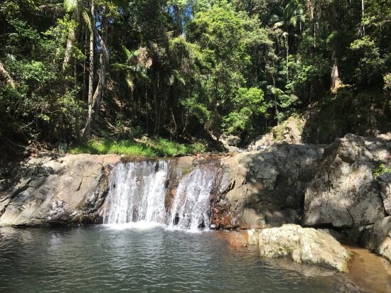 Cougal Cascades Springbrook National Park, Currumbin Valley