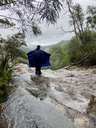 Tuntable Falls, Nightcap National Park, Sun Feb 22