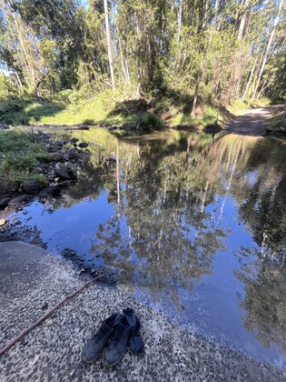 Rocky Creek Dam Circuit Walk -August 16