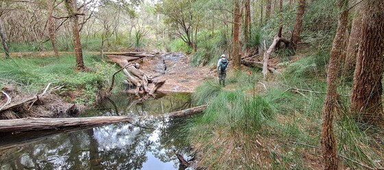 Nandaly Creek, Falls- Koonyum Range Sat 19 Oct