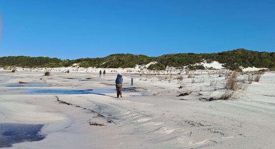 K'gari ( Fraser ) Great Pack Walk  Mar 18-24