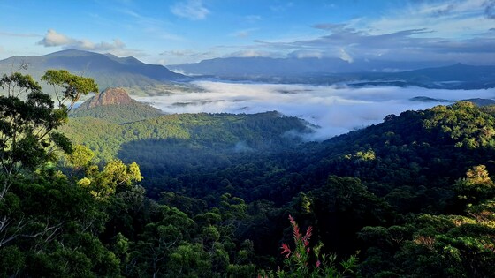 Gidjuum Gilganyi 4 Day Hike, Dec 27-30