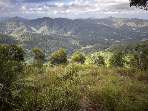 International Women's Week- Nandaly Falls Sun 1 Mar -Fully Booked