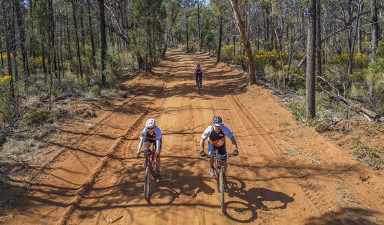 Tour de Gorge Timmallallie National Park (Ride through Pilliga Forest)