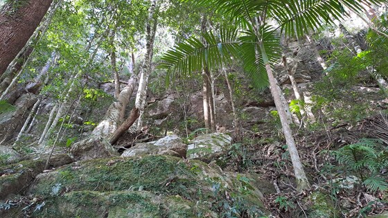 Saturday November 11 - Off-track Koonyum Range Traverse.   Members Only, Limited places