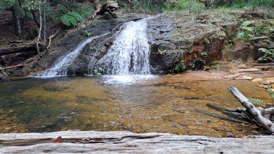 Terania Crags, Beech Creek Cave & Cascade