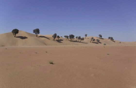 ENHG Lecture: Late Glacial and Holocene Palaeoenvironments of Southeast Arabia, by Adrian Parker