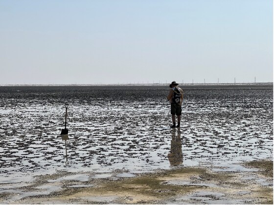“Introduction to Abu Dhabi Sabkha depositional system and a case study of man-made migrating dune problem” by Dr. Mohammad Alsuwaidi, Khalifa University Abu Dhabi
