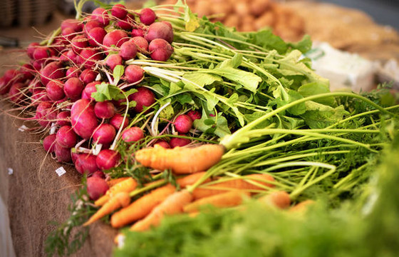 AN ORGANIC DAY - EMIRATES BIOFARM VISIT