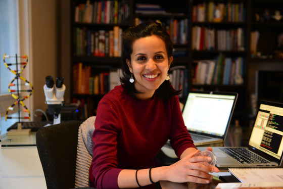 ENHG Trip: Dhow Cruise with Shark Expert Dareen Almojil 