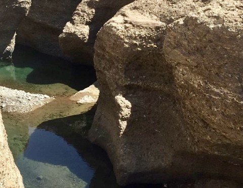 Exploring a Wadi: Sunset and Sunrise Trek - Family Weekend Activity 8th - 9th November 2019