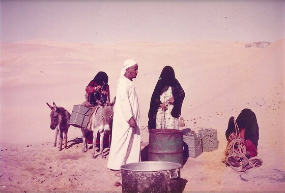 ENHG Lecture February 16: The Liwa – as it was in the Past, with Dr. Frauke Heard-Bey