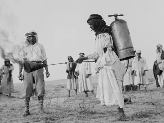 ONLINE LECTURE: "The British military and the anti-locust campaign across the Arabian Peninsula, including the Emirates, 1942–1945" by Dr Athol Yates