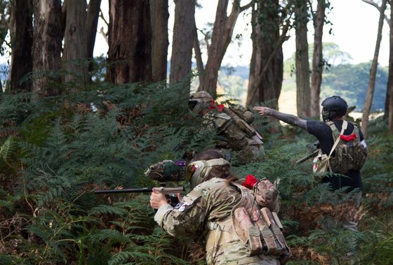 OPERATION MONKEY FIST - Scenario Bushball Game