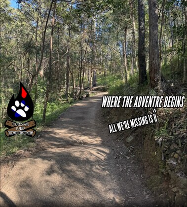 Mount Coot-tha Sumit trail walk + Lunch