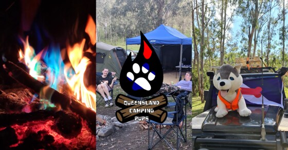 QCP Camp