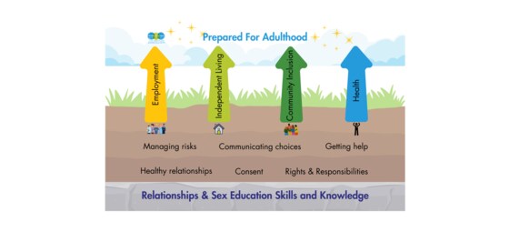 RSE Skills for KS4 & KS5 learners with SEND: Preparing for adult relationships