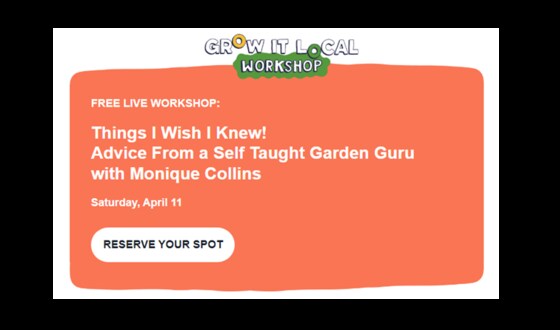 Edible Gardens Kommuniti - Advice from a self taught garden guru
